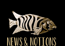 News and Notions